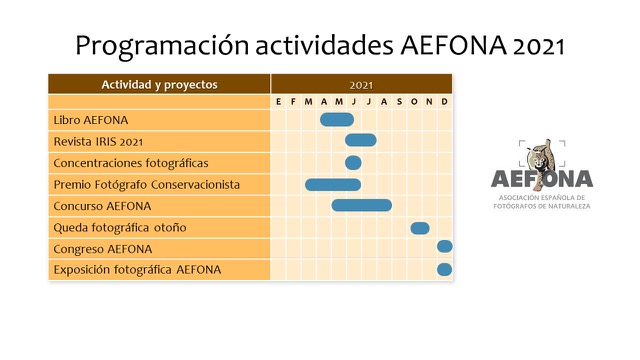 actividades-aefona-2021