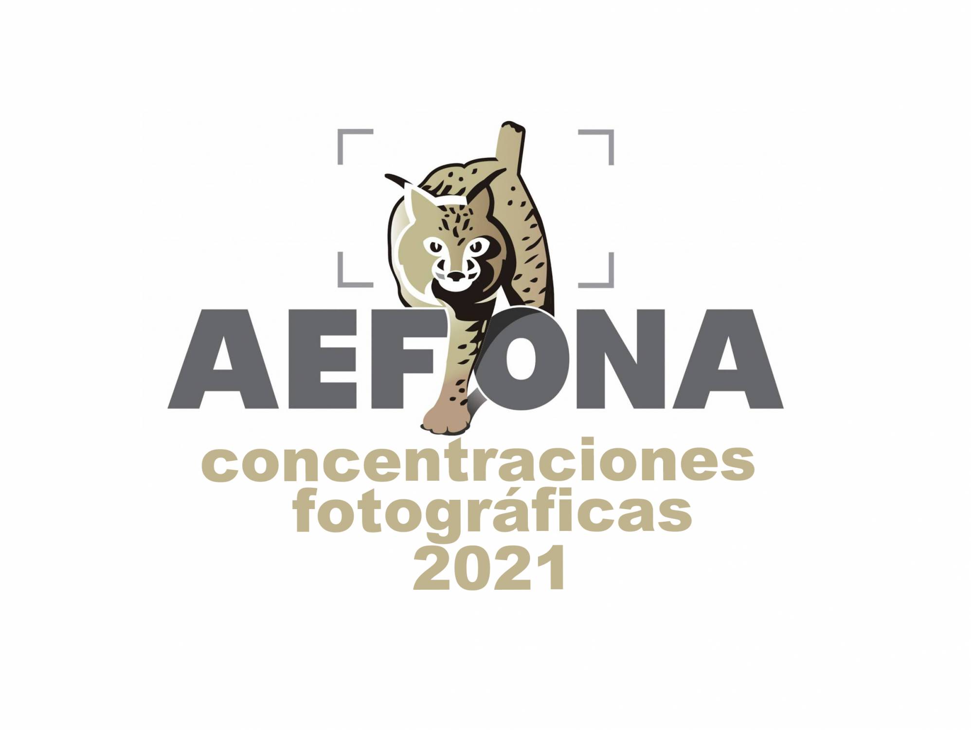 2021_06_07 JUNIO_CONCENTRACIONES