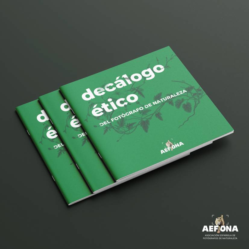 2021_06_11 DECALOGO_ETICO_2021_01