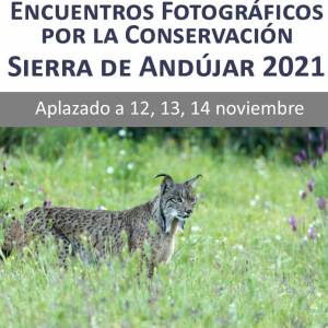 2021_09_29 CAMBIO ANDUJAR