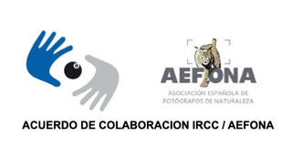 Imagen IRCC:AEFONA.001