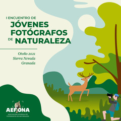 CARTEL Encuentro Jóvenes AEFONA