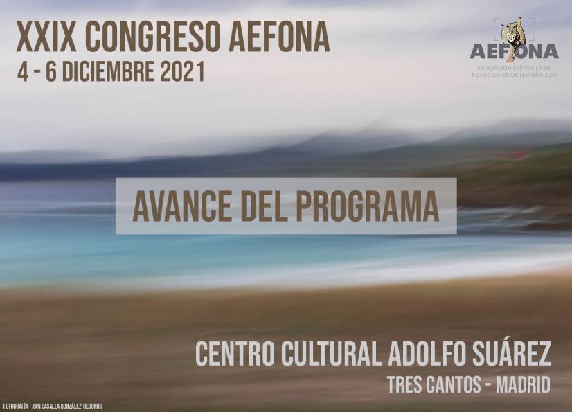 2021_11_03 | Avance programa