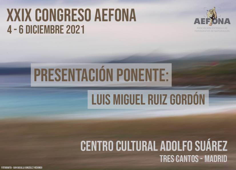 2021_11_15 _ Ponente invitado – Luis Miguel Ruiz Gordon