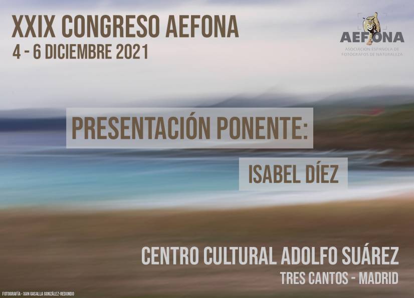 2021_11_26 _ Presentacion ponente – Isabel Díez – Cartel