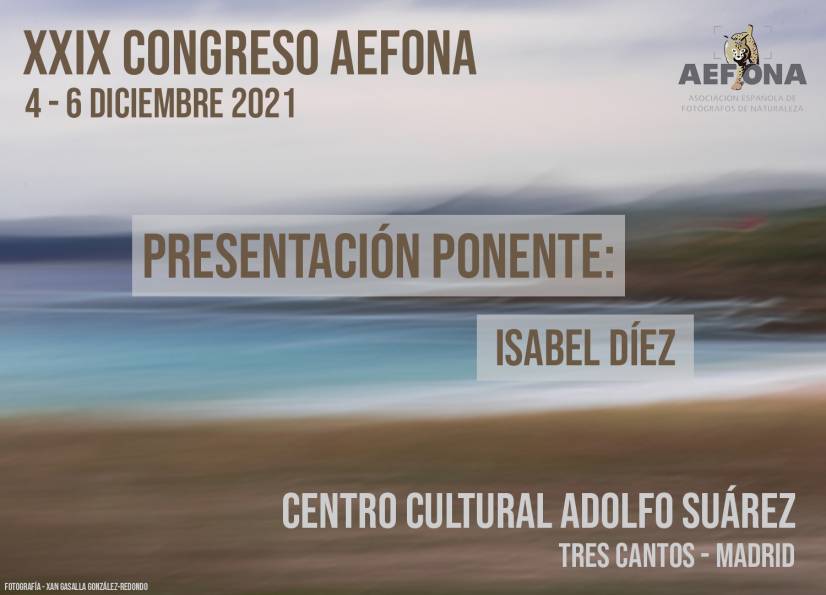 2021_11_26 _ Presentacion ponente – Isabel Díez – Cartel