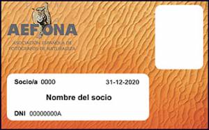 carnet aefona tipo 72ppp