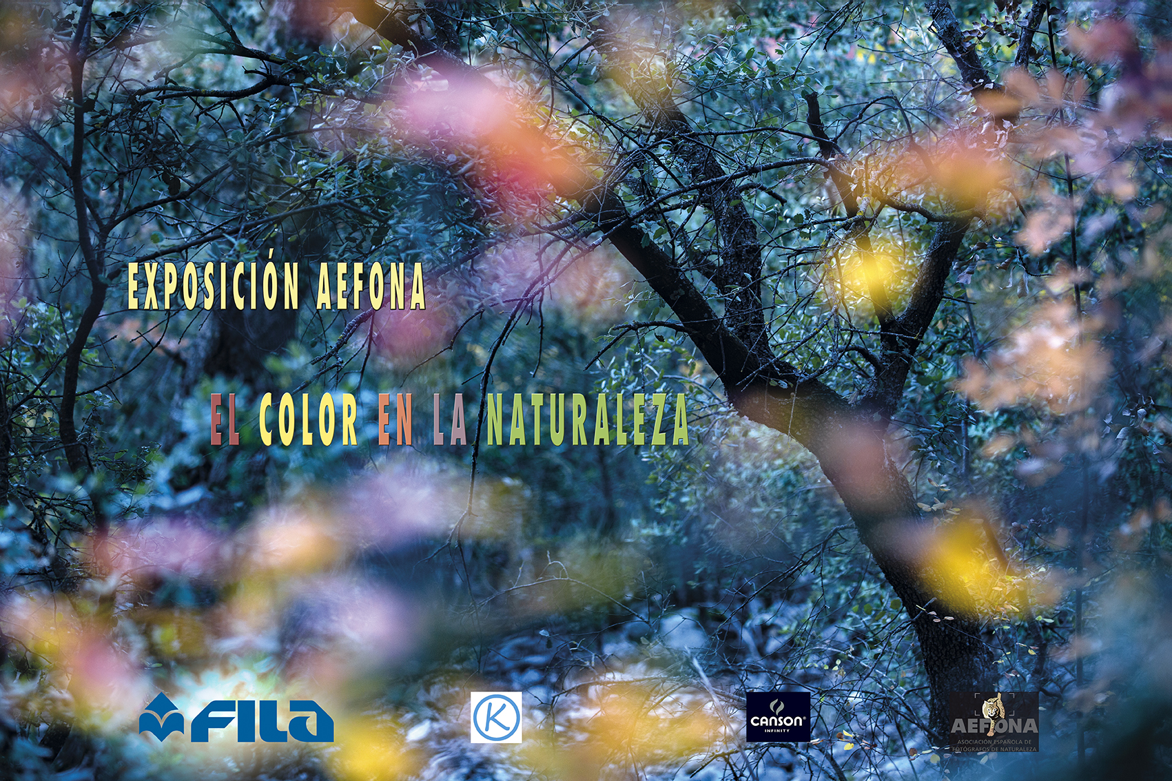 Exposicion – El Color en la Naturaleza