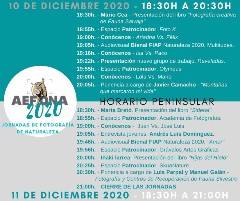 Aefona 2020-CartelJornadas