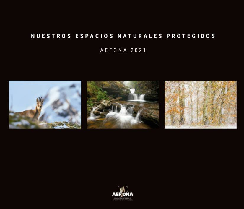 Libro – Nuestros espacios naturales protegidos 2021