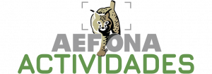 Logo AEFONA 2021 – Actividades