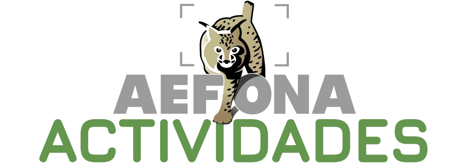 Logo AEFONA 2021 – Actividades