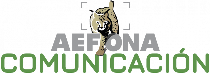 Logo AEFONA 2021 – Comunicacion