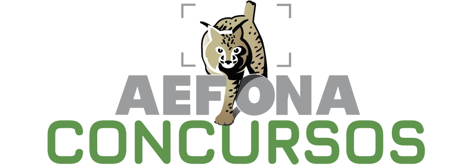 Logo AEFONA 2021 – Concursos
