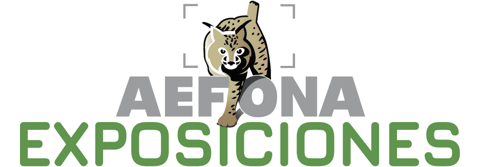 Logo AEFONA 2021 – Exposiciones
