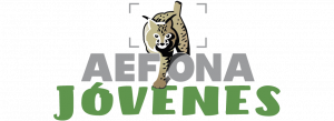 Logo AEFONA 2021 – Jovenes