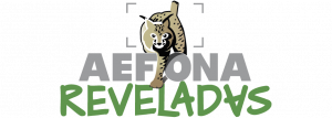 Logo AEFONA 2021 – Reveladas