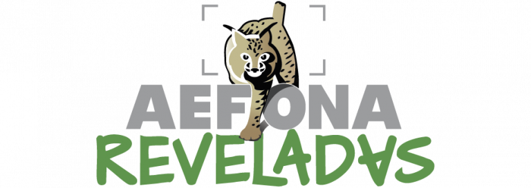 Logo AEFONA 2021 – Reveladas