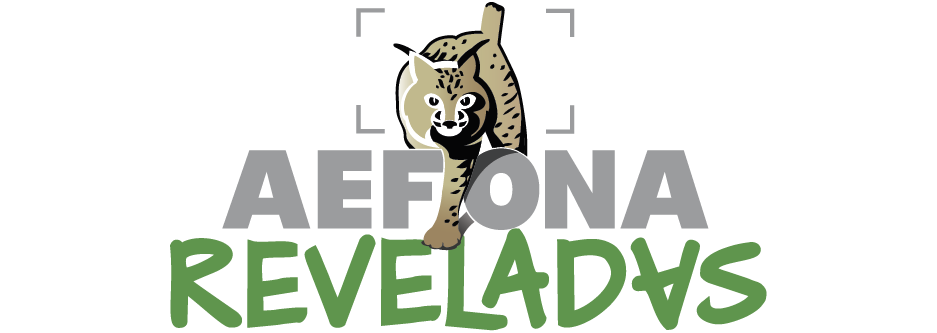 Logo AEFONA 2021 – Reveladas