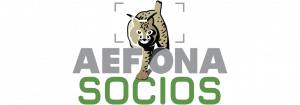 Logo AEFONA 2021 – Socios