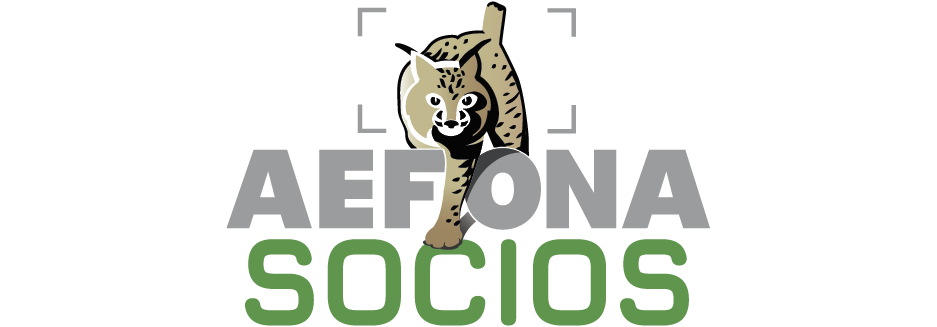 Logo AEFONA 2021 – Socios