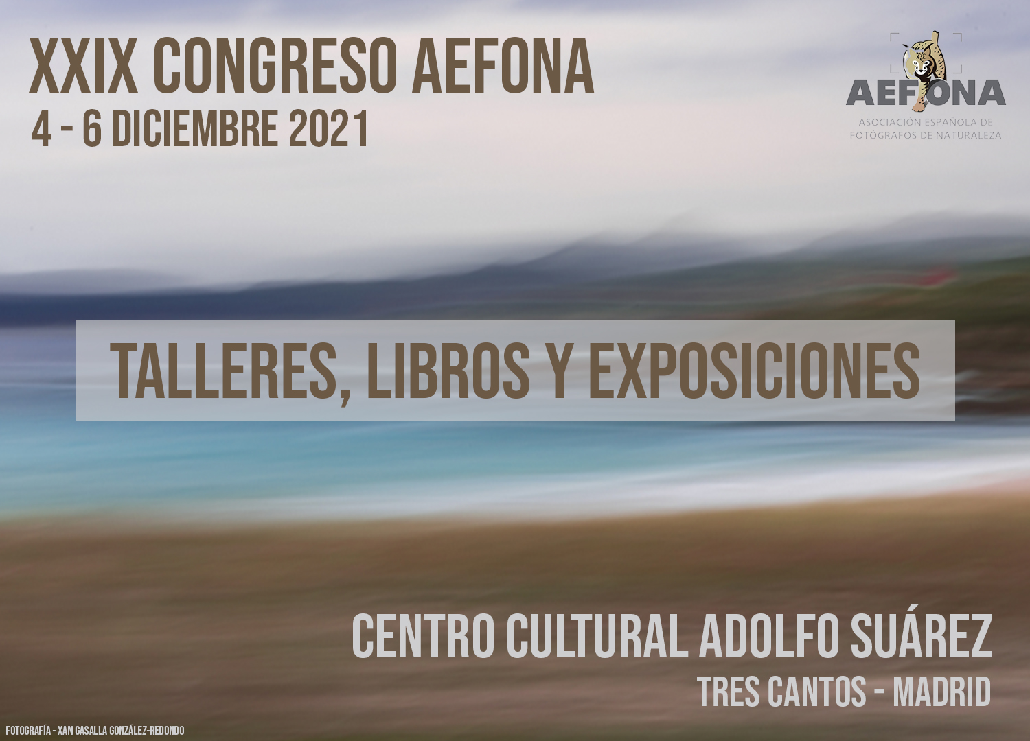 talleres, libros y exposiciones_horizontal