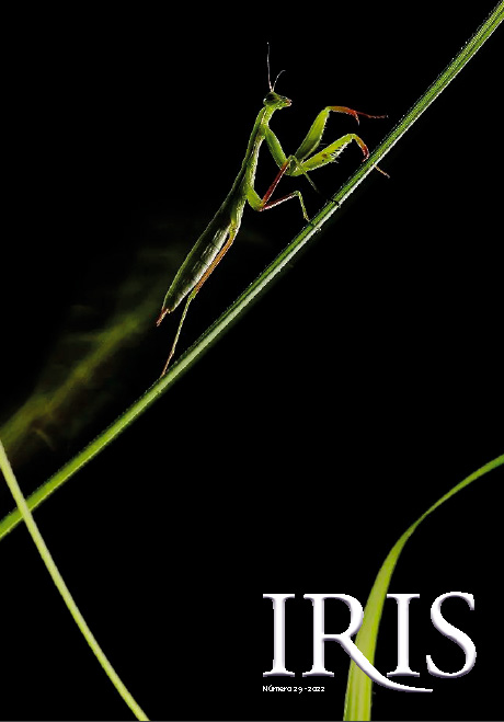 Iris_29_portada