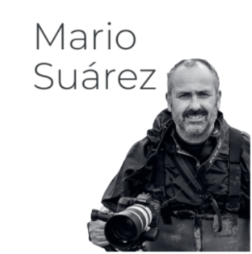 MarioSuarez_ConcursoAEFONA