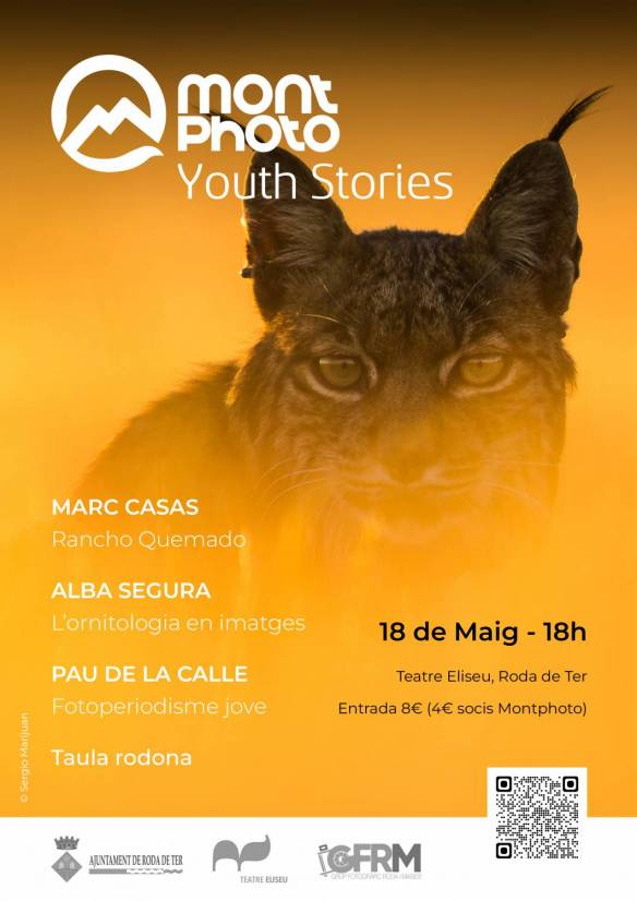 cartell-youthstories