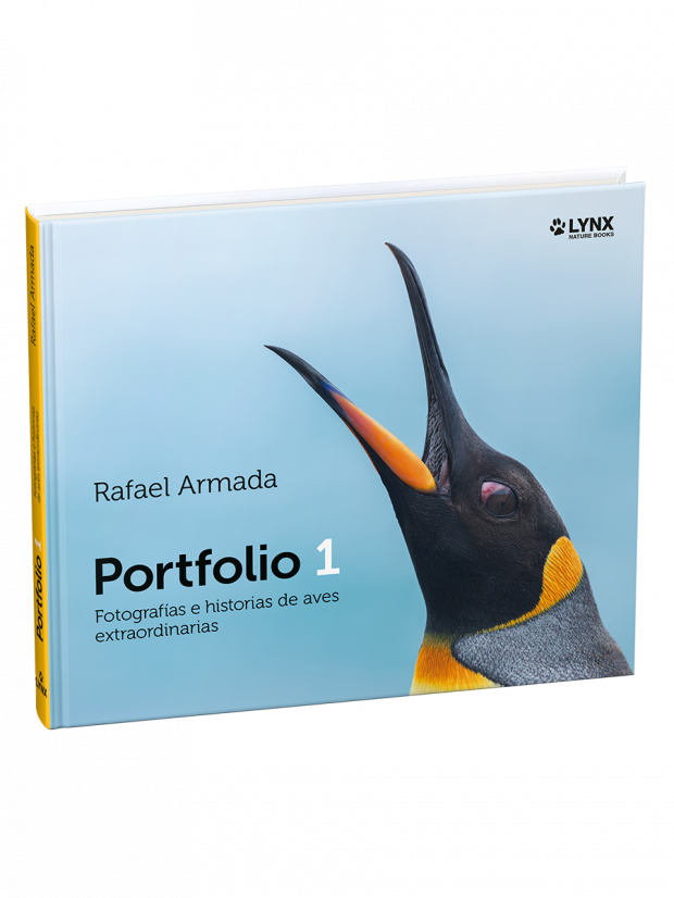 Portfolio 1 Rafael Armada Fotografías e historias de aves extraordinarias Lynx Nature Books