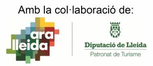 0 ara_lleida_diputacio_patronat_