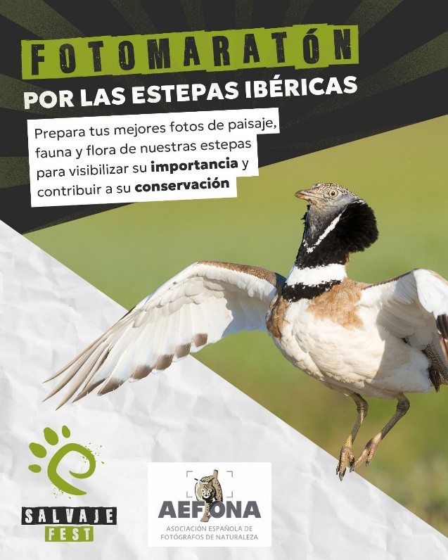 foto maraton estepa