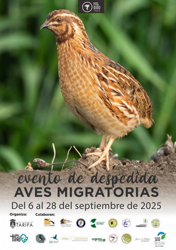 Cartel MigBird Despedida 2025