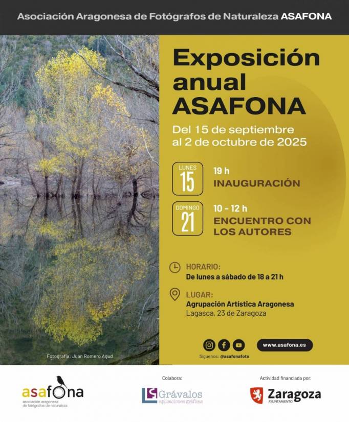 Expo anual ASAFONA_2025