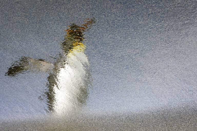 rafael-armada-pinguino-rey-reflejo-georgia-del-sur-ocean-photographer-2025