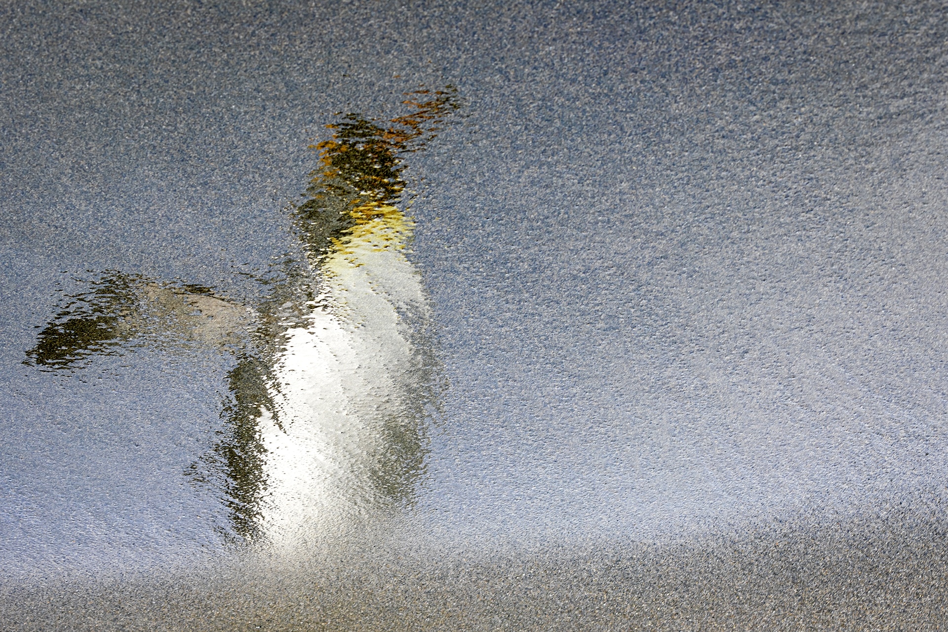 rafael-armada-pinguino-rey-reflejo-georgia-del-sur-ocean-photographer-2025