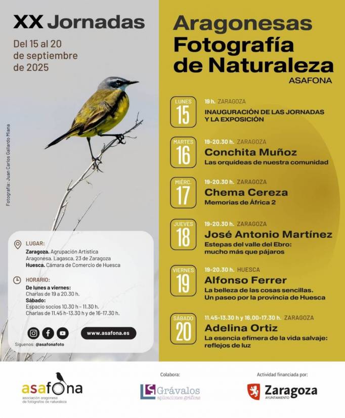 XX Jornadas ASAFONA_1