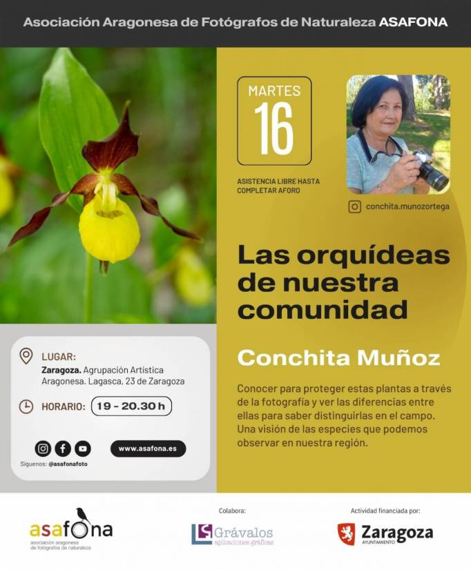 XX Jornadas ASAFONA_2