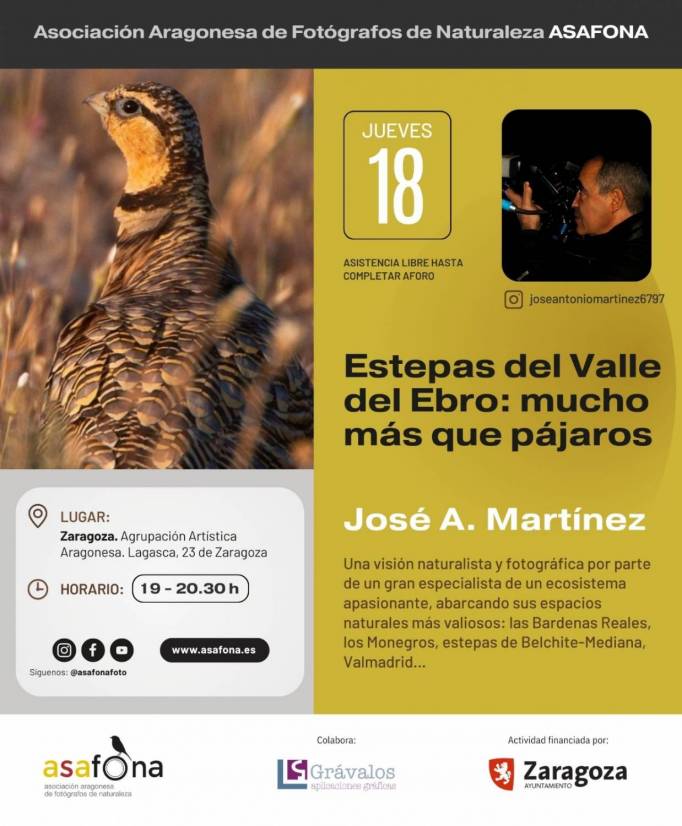 XX Jornadas ASAFONA_4