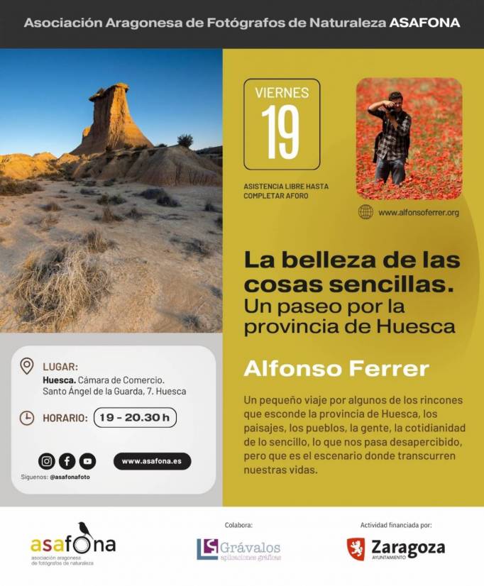 XX Jornadas ASAFONA_5