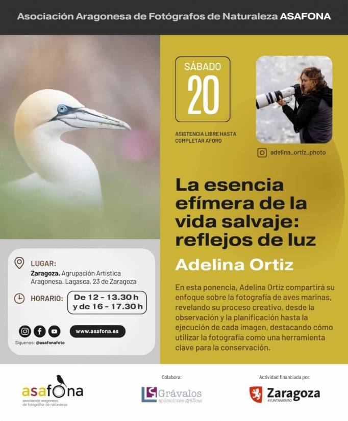 XX Jornadas ASAFONA_6