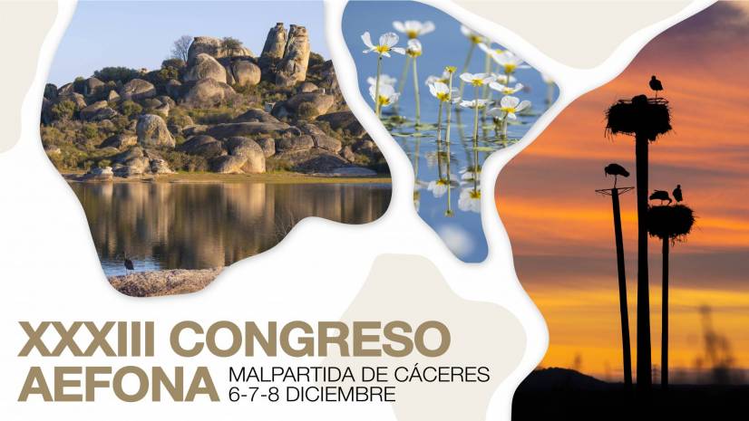 AEFONA_Concreso2025_web