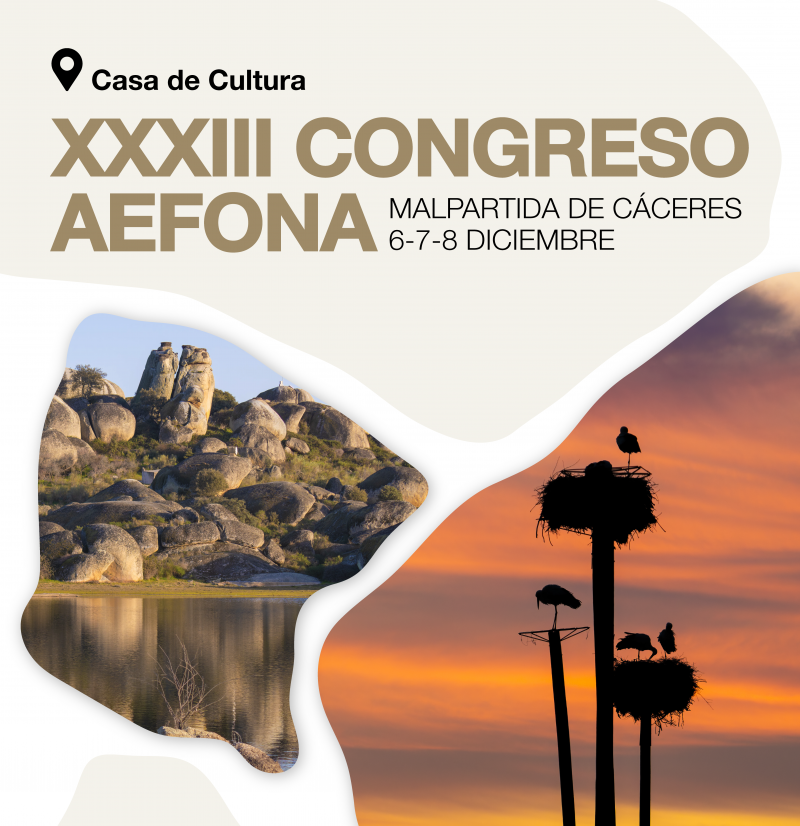 AEFONA_Concreso2025_web_MV