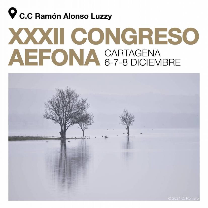 AEFONA_RRSS_cuadrado_s congreso