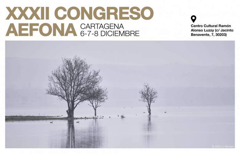 AEFONA_web congreso