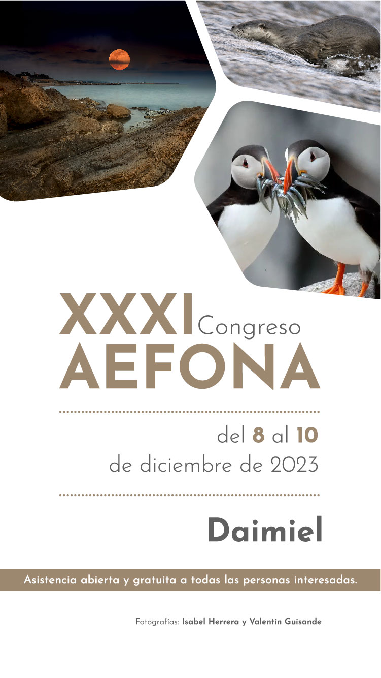 IG-Story_Congreso23_AEFONA