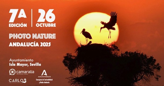 Imagen1