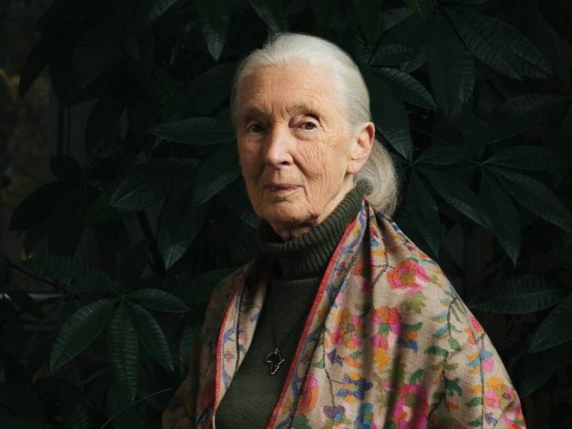Jane Goodall_1