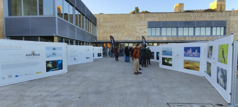 Encuentro FONAT 2025_IMG_20251122_085601