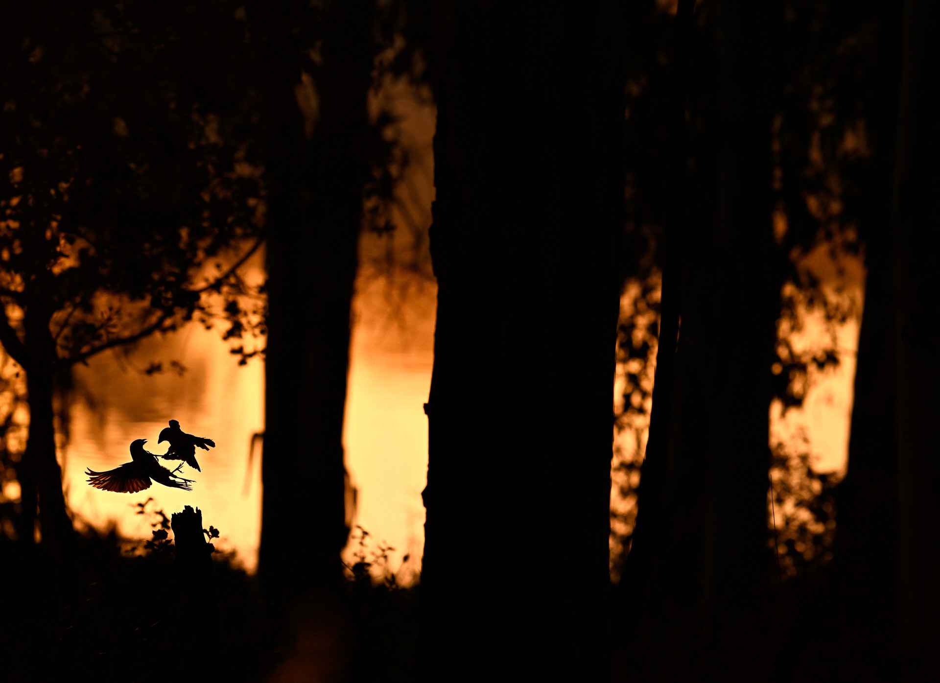 Joaquín Figueredo, con la fotografía “Pactando”